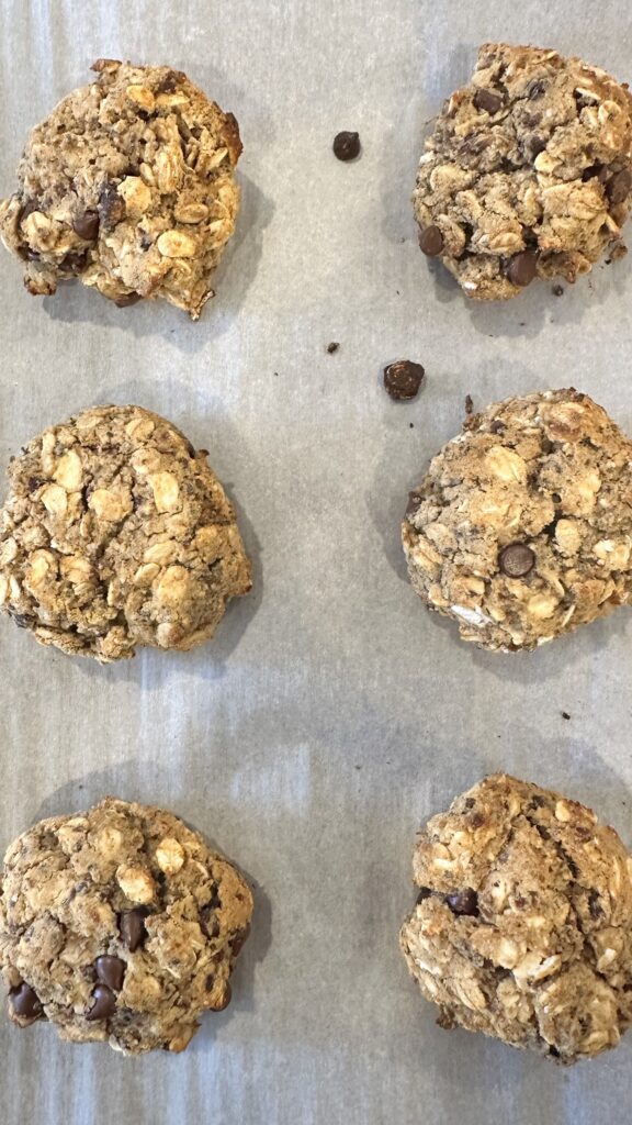 High Protein Vegan Cookie